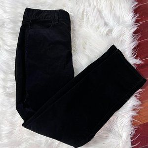Talbots Straight Leg Pants